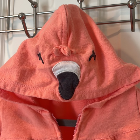 Carter’s Hoodie - Picture 4 of 6